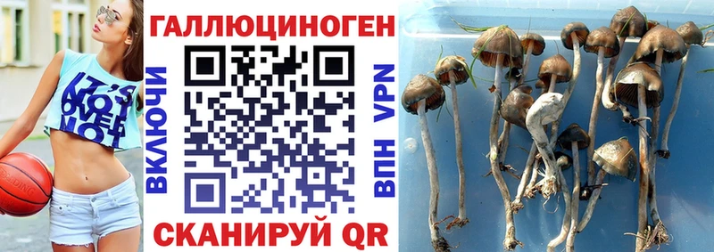 Галлюциногенные грибы прущие грибы  Нягань 